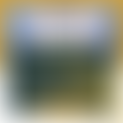 Adapting to Google's November 2023 Core Update: A Guide for First-Time Business Owners