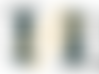 Mastering Google's Feedback Frontier: A Business Owner's Guide to Staying Ahead