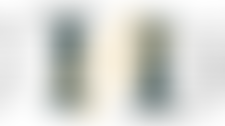 Mastering Google's Feedback Frontier: A Business Owner's Guide to Staying Ahead
