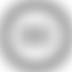 WordPress Alternative