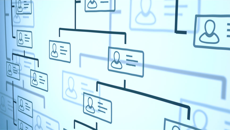 The Quiet System Behind Every High-Functioning Organization