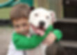 Dogs are the most loyal creatures on the planet. Our dogs at Shereen Kennel are bred and raised in a loving and social environment to provide you with a happy and loving pet that will love you unconditionally, protect you with their lives and fill your household with joy and unfaltering companionship.