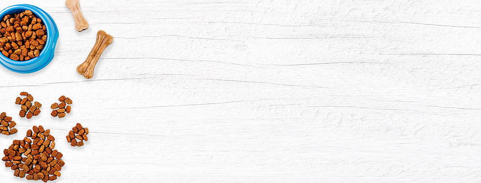 Wix banner2.jpg