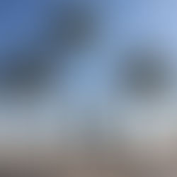 The Cost of Culture: Miami’s Gentrification 