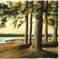 Evening Falls at Terrell Creek