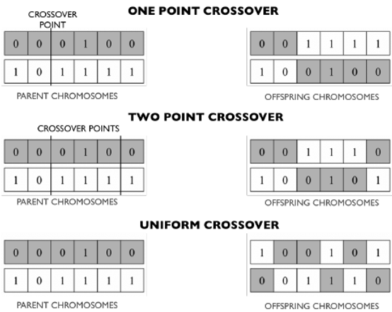 Figure 2: Different types of crossover