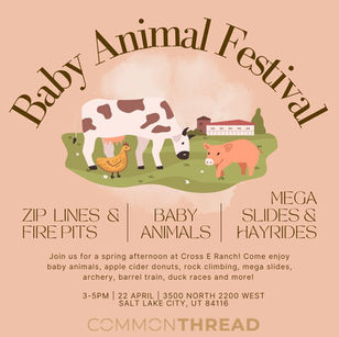 Baby Animal Festival!