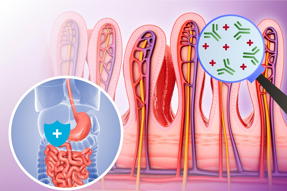 Hệ tiêu hóa - trung tâm miễn dịch lớn nhất của cơ thể