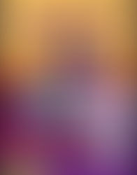 ഐ പി സി ശ്രീകാര്യം സഭ നടത്തപ്പെടുന്ന സുവിശേഷ മഹായോഗങ്ങൾ ഫെബ്രുവരി 02 മുതൽ 04 വരെ