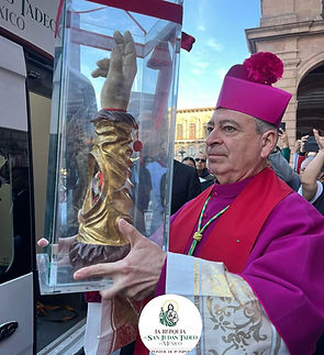 WhatsApp Image 2025-02-12 at 4.57.40 PM (3).jpeg