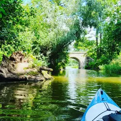 IMG_20220802_203728_734