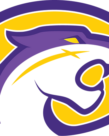 cougar.png