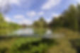 Lake below the surface.jpg