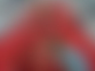Uscita didattica: ReMida di Gavirate (VA)