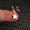 Miniatura: 23043 - D Estrella