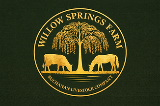 BLC FINAL COPY LOGO.png