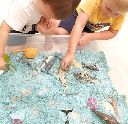 marine life sensory play with early years preschool students . personal social and emotional developments. 