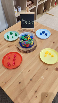 Early years education colour matching class reggio emilia methods mathematics