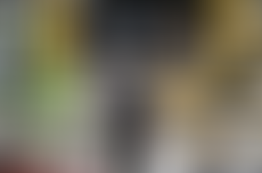 Eurozone Economy Shows Strength as Unemployment Stays at Record Lows