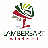 logo-lambersart.png