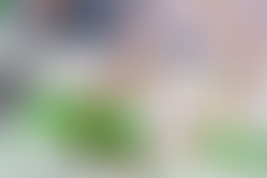 What future for Environmental, Social, and Governance (ESG) reporting