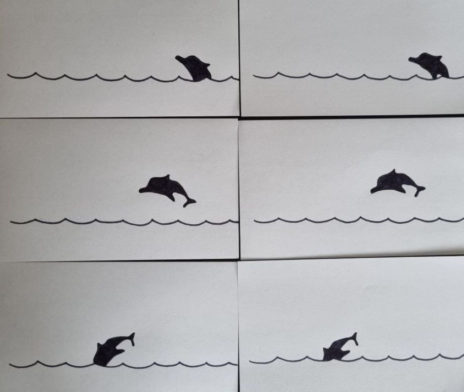 Flipbook Delfino