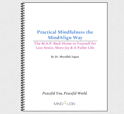 Practical Mindfulness the MindAlign® Way