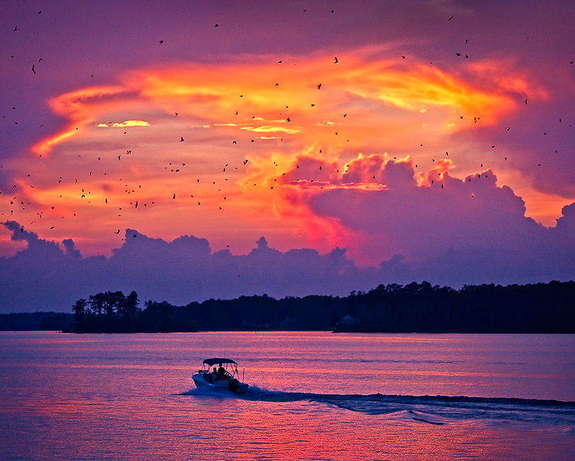 Lake Murray Purple Martin Sunset - Vickie Davis.jpg