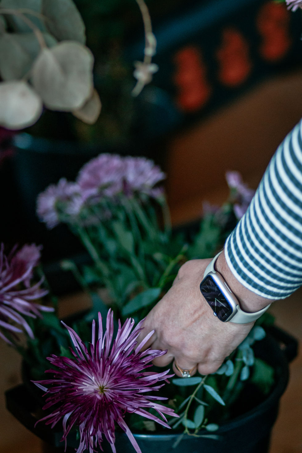 Flowers in Uppingham