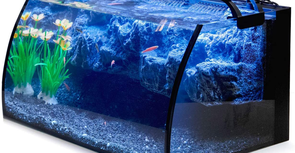 Arquitectura para mascotas 🐶 Increíbles casitas con diseños impresionantes para tus animalitos, aquí puedes adquirirlos y compartir con ellos el amor que le tienes al diseño y al excelente gusto