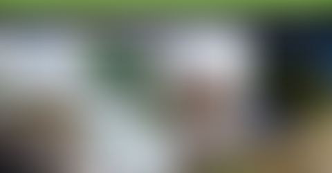 š³ TIPS del diseƱo del PAISAJE y el URBANISMOš