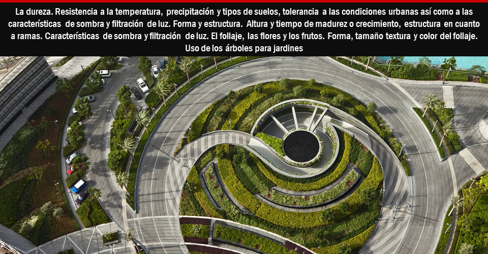 š³ TIPS del diseƱo del PAISAJE y el URBANISMOš