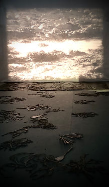 expanded projection