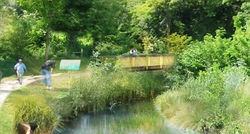 Renaturation de cours d'eau