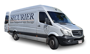 1 van.png