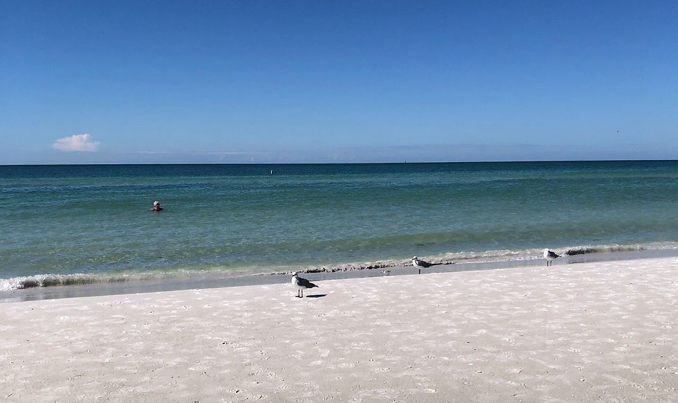 Siesta Key Beach