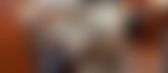 The naughty doggie on the sofa in the saloon.