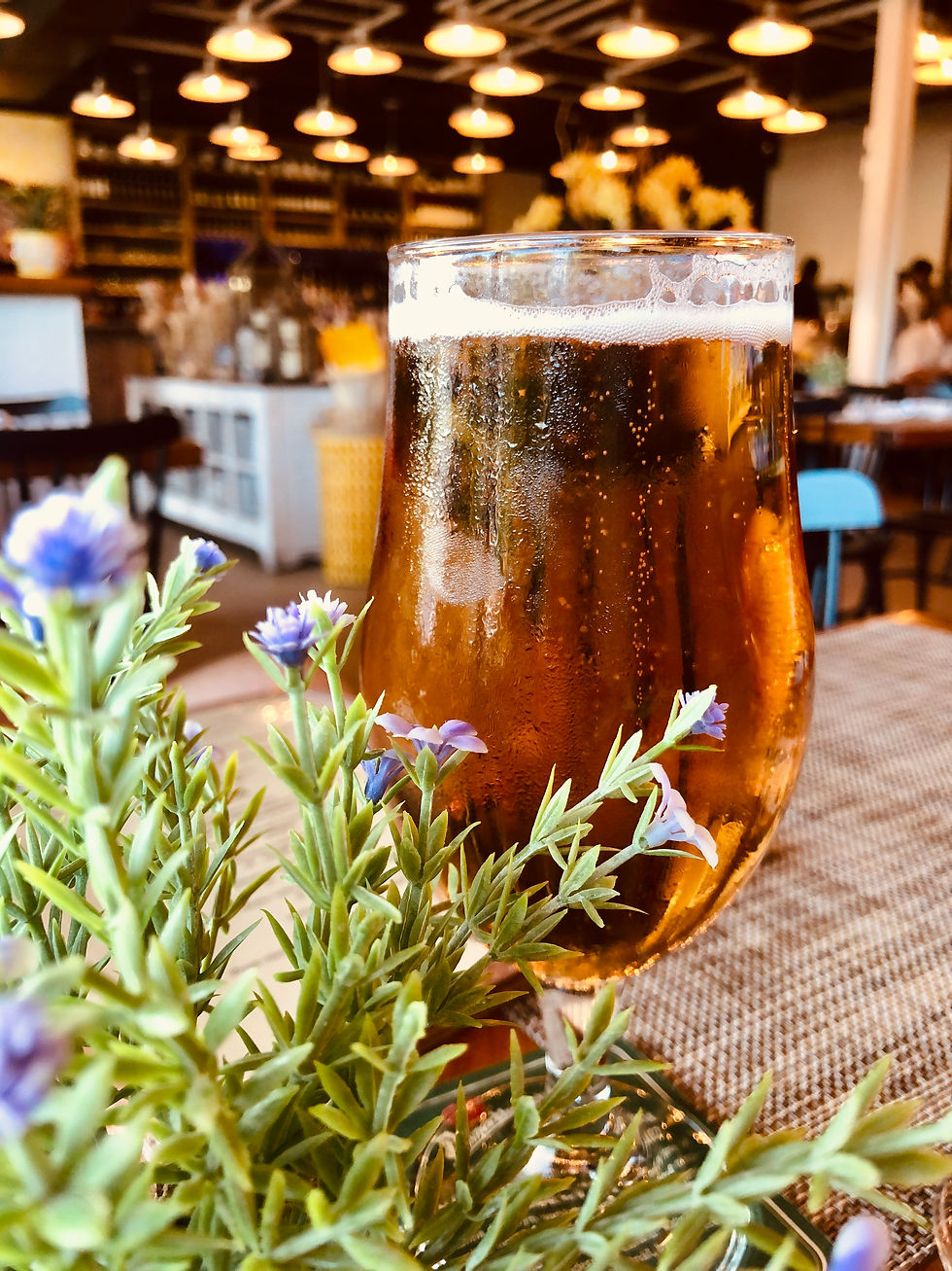 Sarasota Beer and Tap Houses