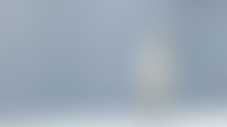 A white egret standing on the dock