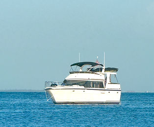 Schatzy in the Gulf