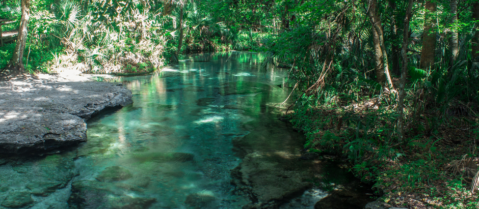 Visit Natural Springs in Southwest Florida