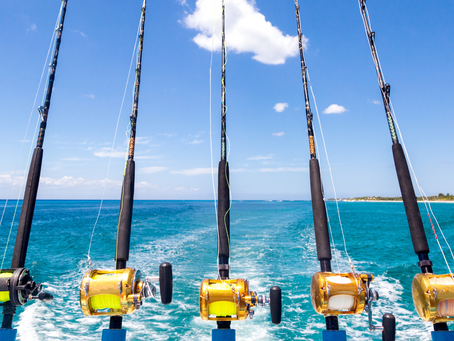 Catching the Big One with The Right Gear