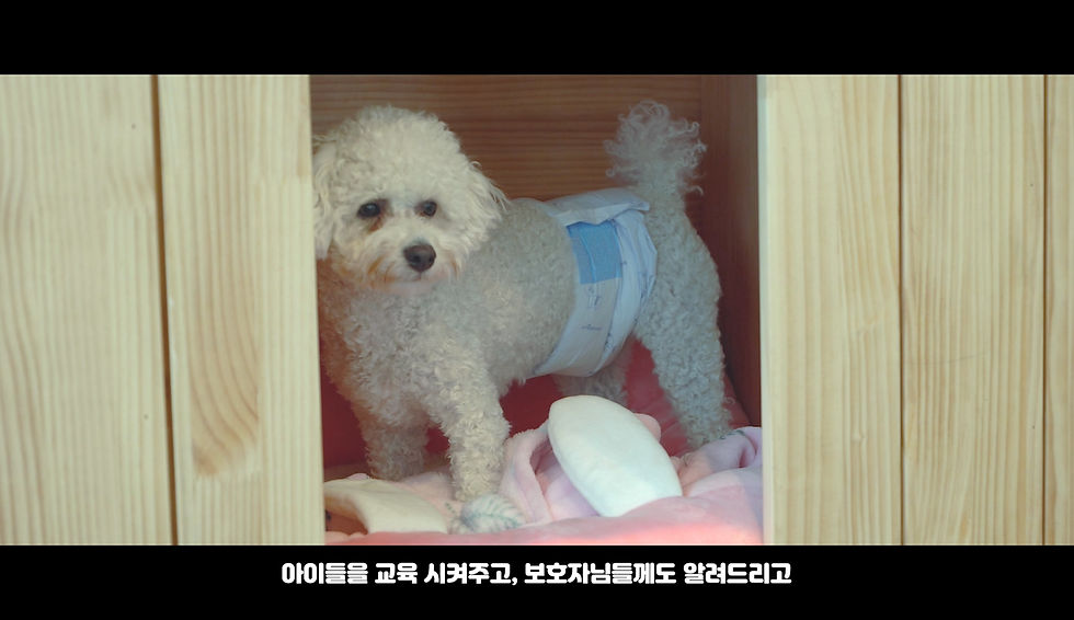 P&M 반려견 전문 유치원_최종_200622.mp4_20200720_17