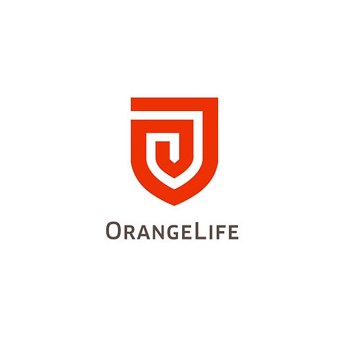 181000_Orange Life_02.mov_20190125_09321