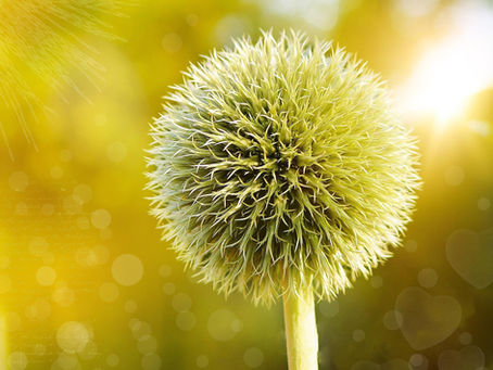 What is a lightworker meaning and how to identify one