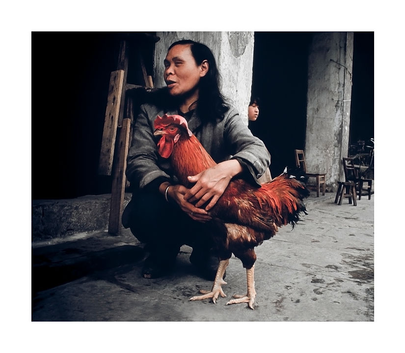 Street photographer captures woman with cockerel