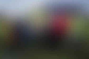 Group photo of volunteers planting trees in urban spaces