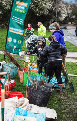 community volunteers for planting trees in urban spaces