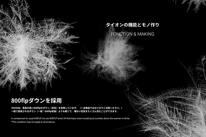 TAIONのブランドはセムインターナショナルがyenで卸売り