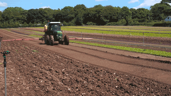 Crop Rotation at Canara Farm Crop Rotation at Canara Farm